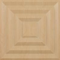 Aristocrat Ceiling Tiles