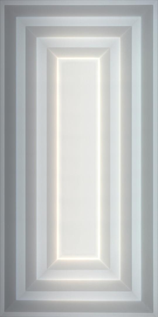 face Aristocrat Ceiling Panels