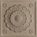 Medallion Ceiling Tiles