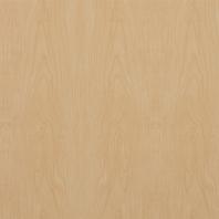 Serenity Ceiling Tiles