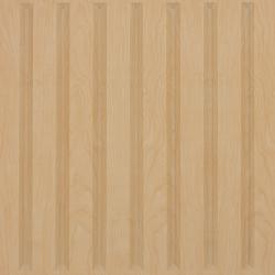 Southland Ceiling Tiles Translucent
