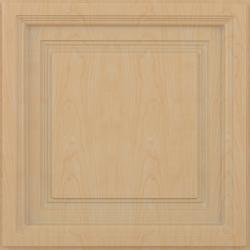 Westminster Ceiling Tiles Translucent