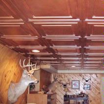 Happy with the Ceiling, Deer.